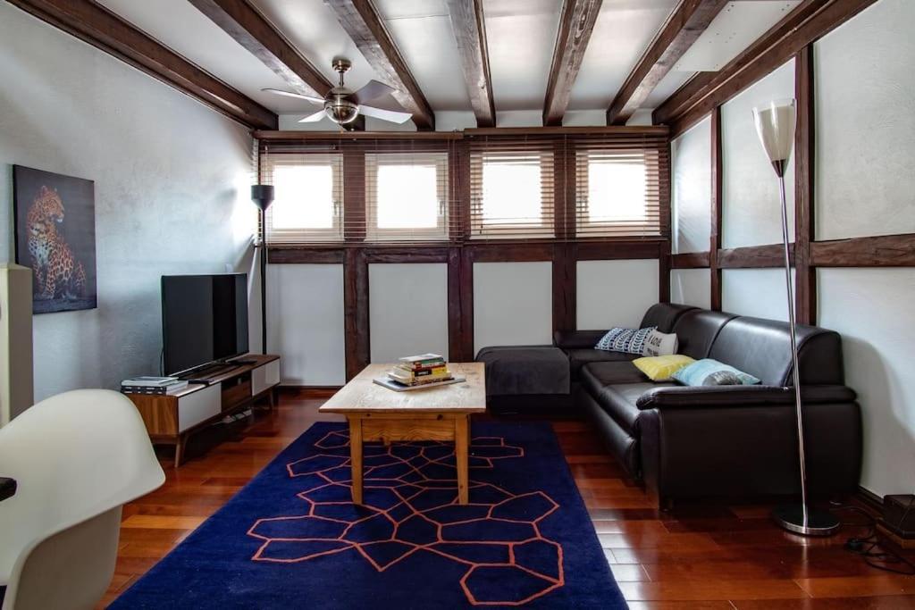 L'Or - Typical Alsacian Apartment In Straatsburg Buitenkant foto